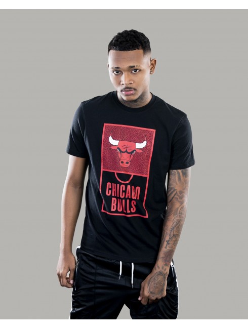 T-Shirt Chicago Bulls...
